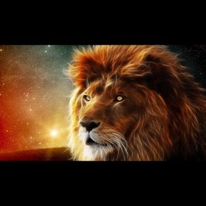 Meet your Posher, Anita